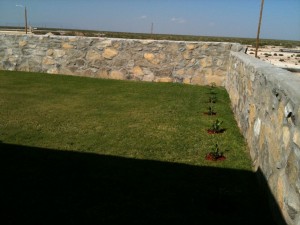 Nellie Stevens Hollie planted