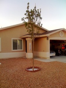 Finished house with landscaping